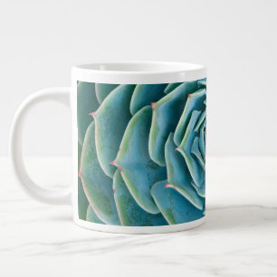 Grande Tasse Rosette d'Echeveria, Jardin Secret de Marrakech
