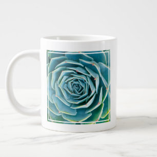 Grande Tasse Rosette d'Echeveria, Jardin Secret de Marrakech