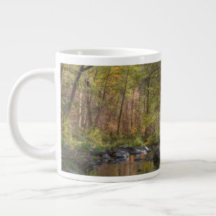 GRANDE TASSE SEDONA ARIZONA SE DÉCLENCHER UN AUTRE JOUR