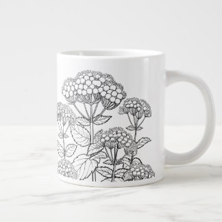 Grande Tasse Snakeroot blanc - Ageratina altissima - Autochtone