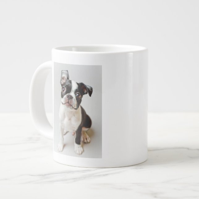 Grande Tasse Terrier de Boston (Devant gauche)