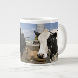 Grande Tasse Vaches devant une grange rouge et silo sur une fer