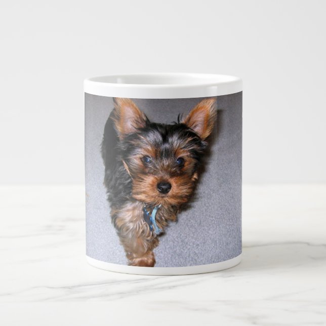 Grande Tasse yorkshire terrier chiot.png (Devant)