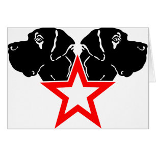 Grande tête Dane Star