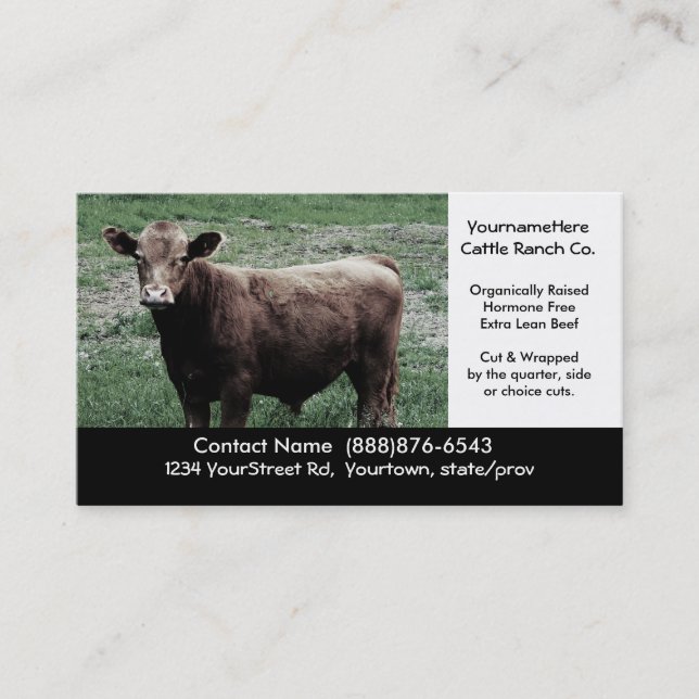 Grande vache Brown - carte de ferme ou (Devant)