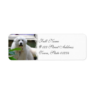 Grandes étiquettes postales blanches de chien de