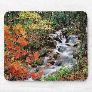 Grandfather Mountain Falls Mouse Pad