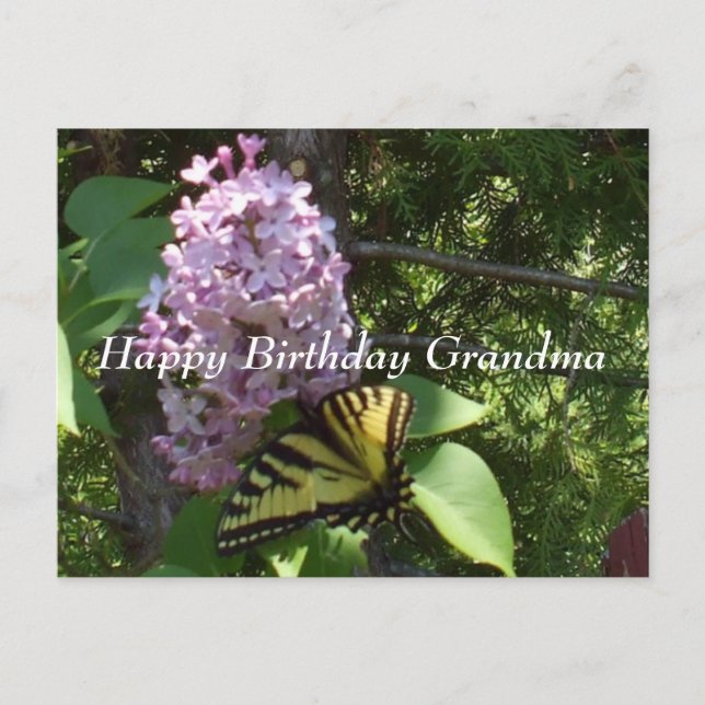 Grandma Birthday Postcard (Front)