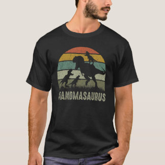 Grandma Dinosaur Rex Grandmasaurus 3 Kids Family M T-Shirt