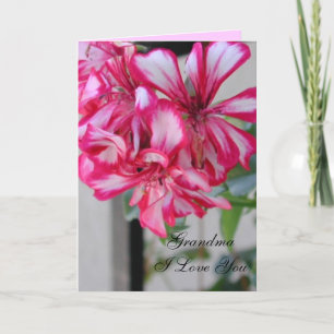 Grandma I Love You Holiday Card