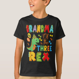 Grandma Of The Three Rex 3rd Birthday Boy Dinosaur T-Shirt