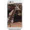 Grandma Phone Case (options available)