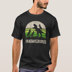 Grandmasaurus T Rex Mothers Day Shirts, Dinosaur 3 T-Shirt