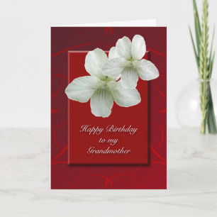 Grandmother Birthday Wild White Violet Card