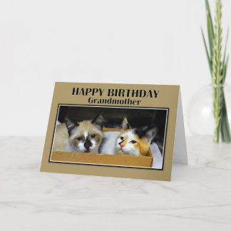 Grandmother Kittens in a Box Happy Birthday Card