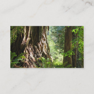 Grandpa business cards Redwood Trees