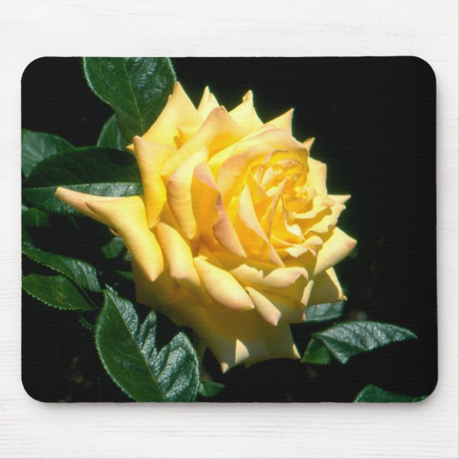 Grandpa Dickson Mouse Pad (Front)