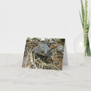 Grandpa Toad Note Card