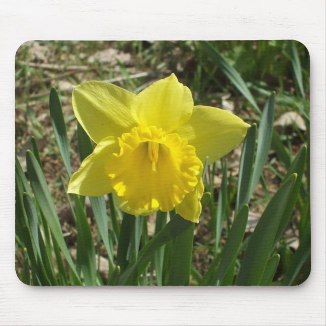 Grandparent's Bright Yellow Daffodil Mouse Pad (Front)
