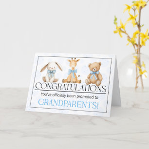 Grandparents Congratulations New Baby Blue Card