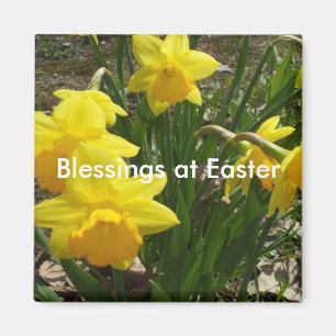 Grandparent's Daffodil Blessing for Easter Magnet