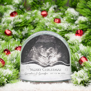 Grandparents Pregnancy Announcement Ultrasound Snowglobe