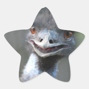 Grands autocollants d'émeu