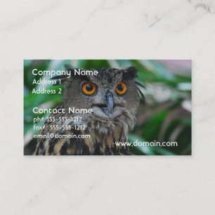 Grands cartes de visite de hibou