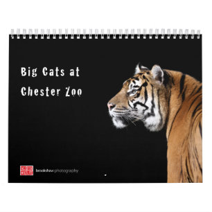 Grands chats au calendrier de zoo de Chester
