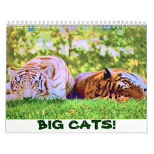 GRANDS CHATS ! Calendrier