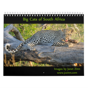 Grands chats de calendrier de l'Afrique du Sud