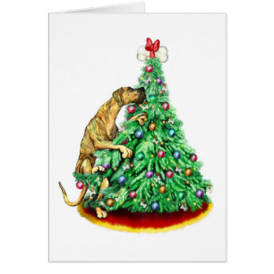 Grands Dane Noël atteindre les objectifs Brindle U