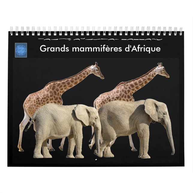 Grands mammifères en Afrique Calendrier 12 mois (Protection)