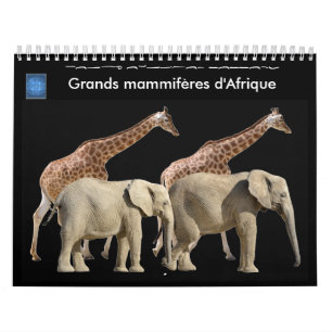 Grands mammifères en Afrique Calendrier 12 mois