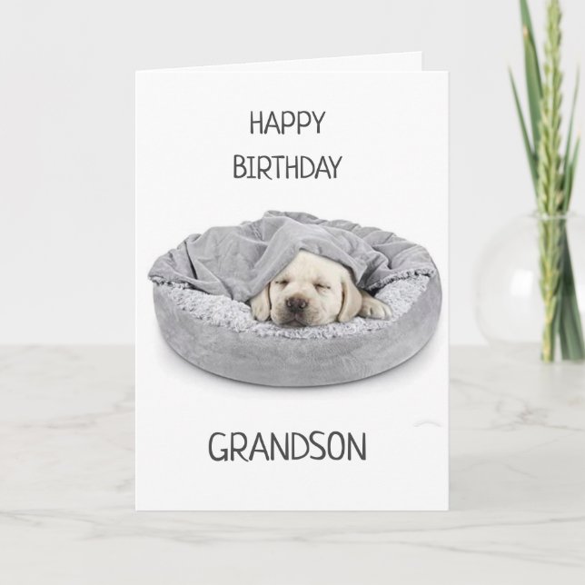 GRANDSON L'ANNIVERSAIRE ! CARTE (Devant)