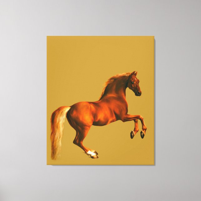 Grandson of the Godolphin Arabian Canvas Print (Front)