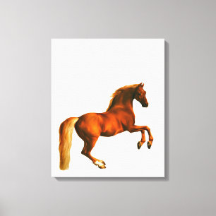 Grandson of the Godolphin Arabian Canvas Print