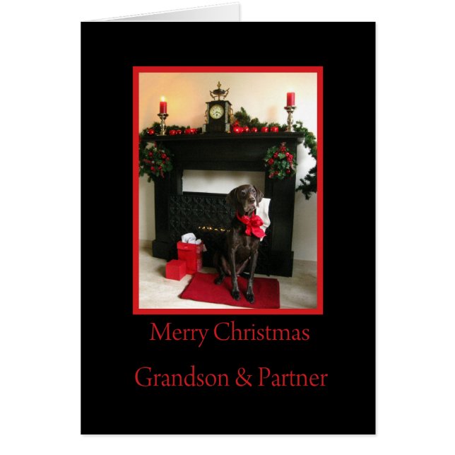 Grandson & Partenaire joyeux noël pointeur alleman (Devant)