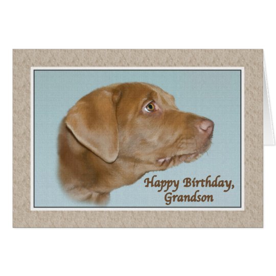 Grandson's Birthday Card with Labrador Dog