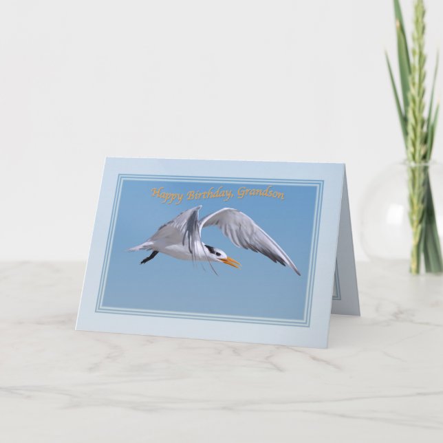 Grandson's Birthday Card with Royal Tern Bird (Front)