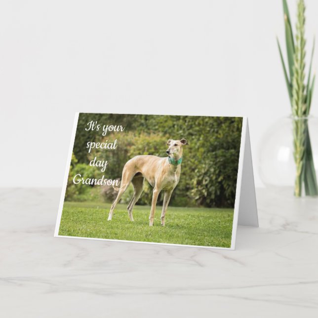 *GRANDSON'S BIRTHDAY* HOPE YOU ARE "HAPPY" CARD (Front)