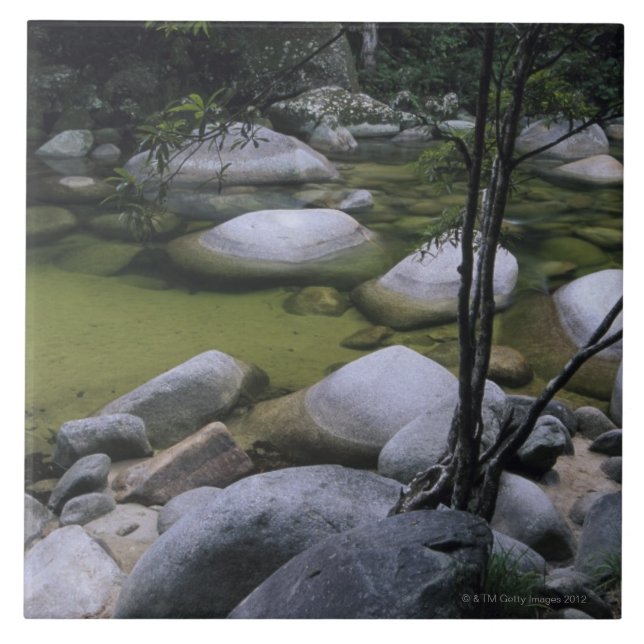 Granite Boulders in River Tile (Front)