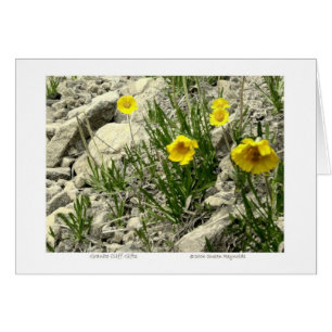 Granite Cliff Gifts