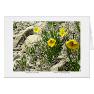 Granite Cliff Gifts