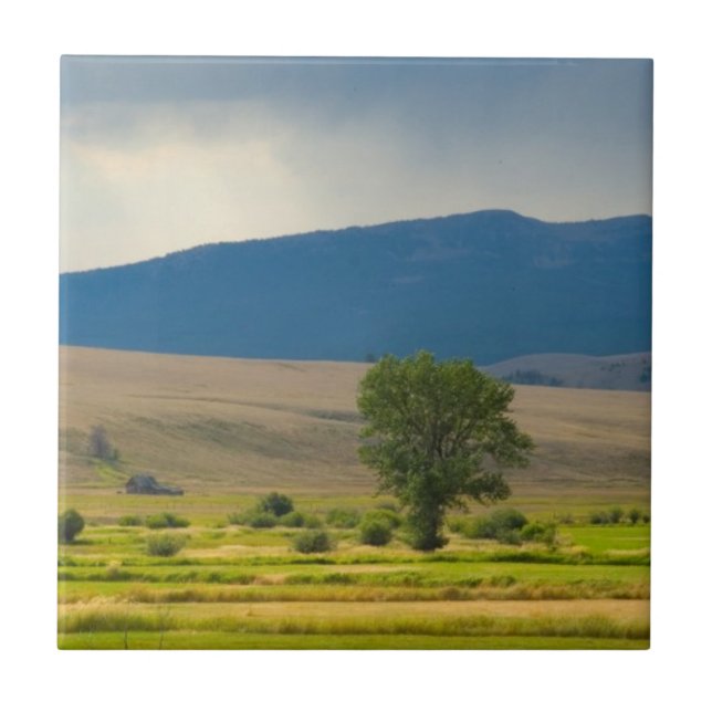 Granite County Montana Tile (Front)
