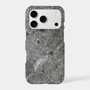 Granite Rock Grey with Green Moss