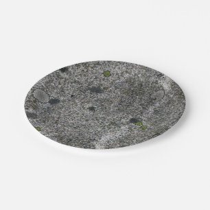 Granite Rock Paper Plate