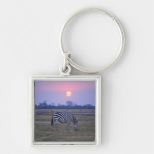 Grant Zebra 3 Keychain