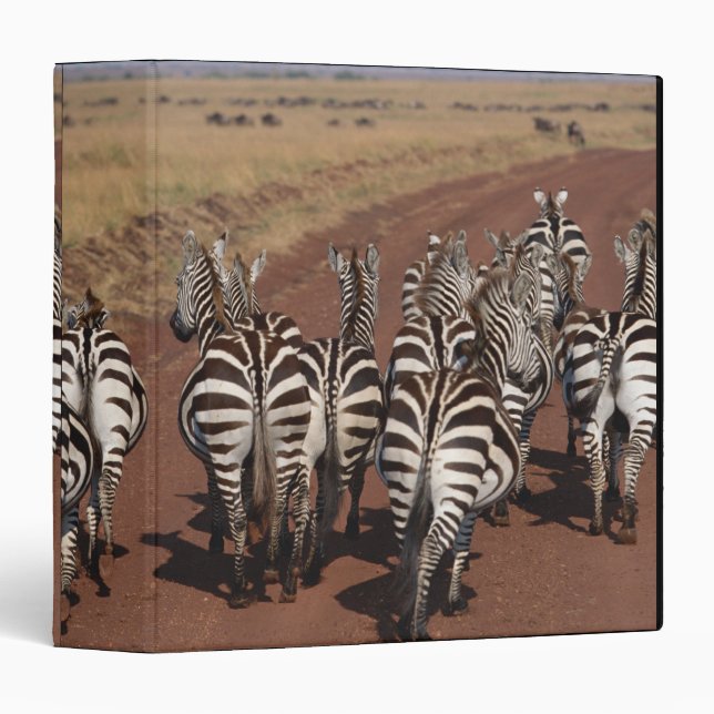 Grant Zebra 4 Binder (Front/Spine)