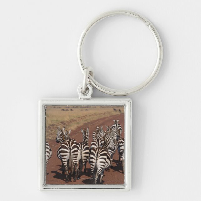 Grant Zebra 4 Keychain (Front)